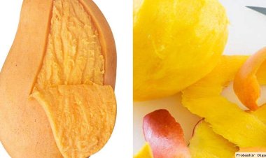 আমের খোসার নানা গুণ, খাবেন কীভাবে?