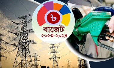 বিদ্যুৎ ও জ্বালানি খাতে বরাদ্দ কমেছে সাড়ে ৪ হাজার কোটি টাকা