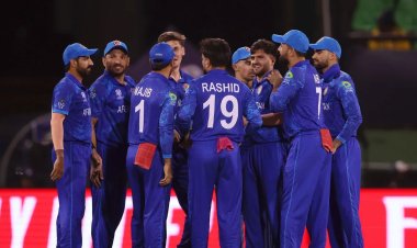 নিউজিল্যান্ডকে হারিয়ে যা বললেন রশিদ