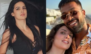 পাক-ভারত ম্যাচ, নাতাশাকে নিয়ে ট্রলের শিকার পান্ডিয়া!