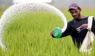  ৫৯২ কোটি টাকার সার কিনবে সরকার   