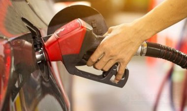 বিশ্ববাজারে তেলের দাম কমলেও বাংলাদেশে বেড়েছে কেন?