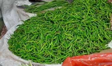 ঈদের আগে কাঁচা মরিচের ডাবল সেঞ্চুরি