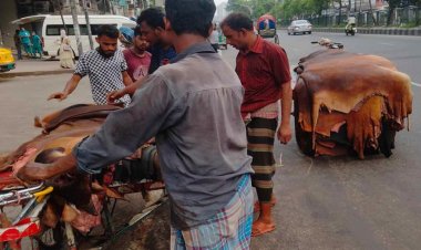 কাঁচা চামড়ার দাম কিছুটা বাড়লেও খুশি নন মৌসুমি ব্যবসায়ীরা