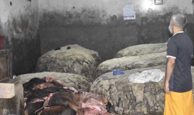 চামড়ায় লবণ মাখানো শেষ, পোস্তায় অপেক্ষা ট্যানারির ক্রেতাদের