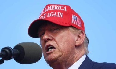 বিদেশি গ্র্যাজুয়েটদের গ্রিন কার্ড দেবেন ট্রাম্প