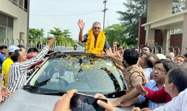 জামিনে মুক্তি পেলেন বিএনপি নেতা নীরব