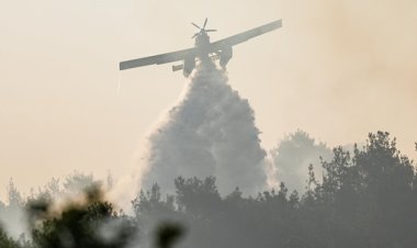  তুরস্কে ভয়াবহ দাবানল, নিহত অন্তত ১২