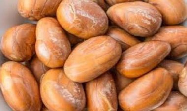 কাঁঠাল বীজের যত উপকার 