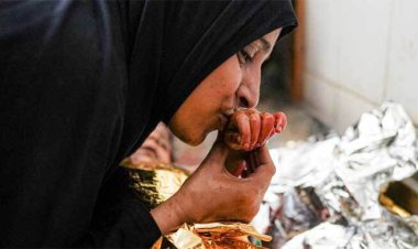 গাজায় ইসরায়েলি তাণ্ডবে নিহত বেড়ে ৩৭৬৫৮