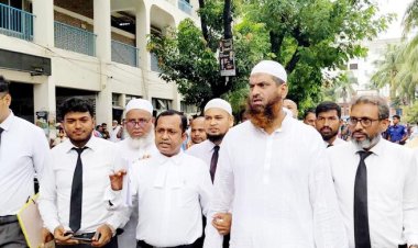 রেফতারি পরোয়ানার একদিন পর মামুনুল হকের জামিন