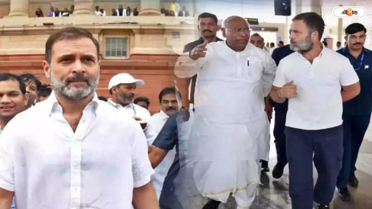 ‘ইন্ডিয়া’ জোটের প্রধানমন্ত্রী হিসেবে রাহুল গান্ধীকে পছন্দ খাড়গের