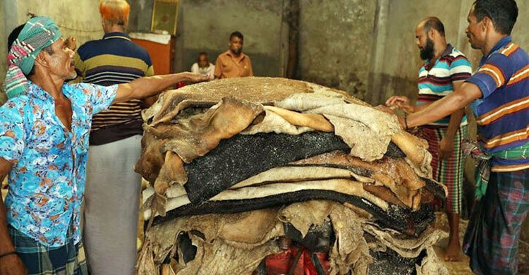 ঢাকায় প্রতি বর্গফুট চামড়ার সর্বোচ্চ দাম ৬০ টাকা, বাইরে ৫৫