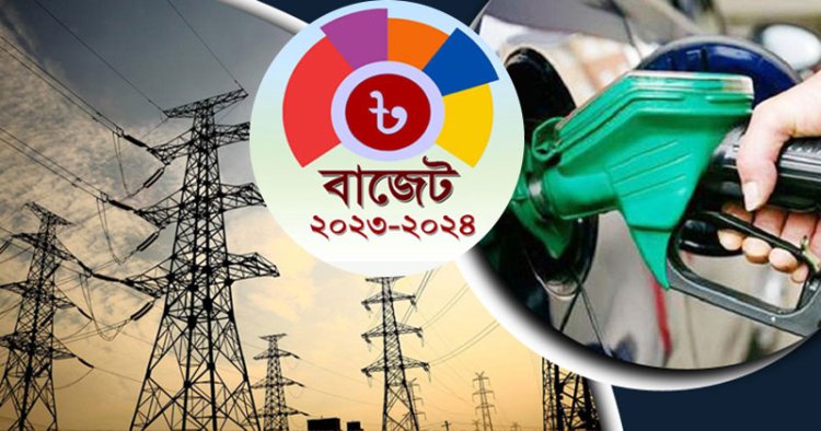 বিদ্যুৎ ও জ্বালানি খাতে বরাদ্দ কমেছে সাড়ে ৪ হাজার কোটি টাকা