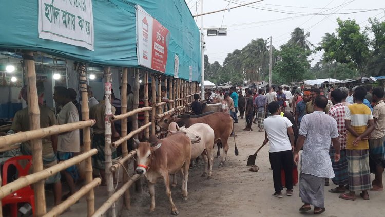 খুলনার এক হাটেই ২ কোটি ২৫ লাখ টাকার রাজস্ব আদায়