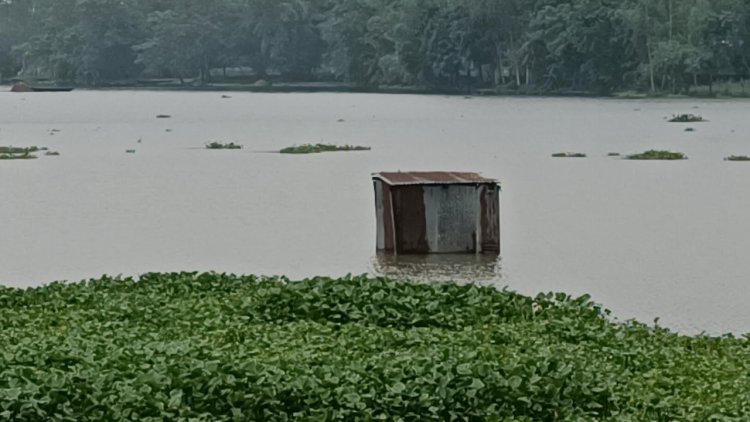 কুড়িগ্রামে নদ-নদীর পানি বৃদ্ধি, বিপৎসীমা অতিক্রমের আশঙ্কা