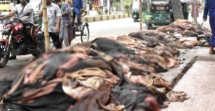 পোস্তায় এবার ১ লাখ কাঁচা চামড়া সংগ্রহ