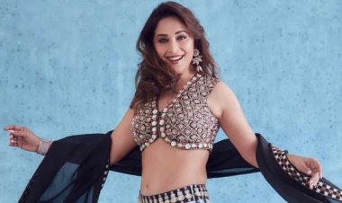 নিষিদ্ধ পাকিস্তানি ব্যবসায়ীর সঙ্গে মাধুরী, বির্তকের ঝড়