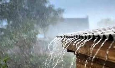 ১৭ জেলায় ৬০ কিমি বেগে ঝড়ের আশঙ্কা 