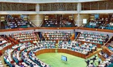 প্রশাসক নিয়োগের বিধান রেখে ইউনিয়ন পরিষদ বিল পাস