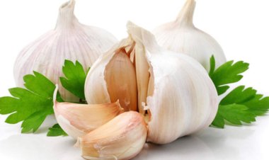 শরীর ফিট রাখতে রসুনে আছে জাদুকরী পুষ্টিগুণ, যেভাবে খাবেন