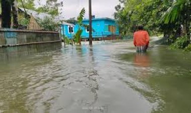 পাহাড়ি ঢল ও টানা বৃষ্টি, কুড়িগ্রাম সিলেটে লাখো মানুষ পানিবন্দি