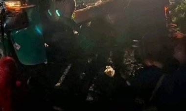 শায়েস্তাগঞ্জে ট্রাক-অটোরিকশার মুখোমুখি সংঘর্ষে নারী নিহত