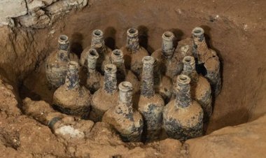 যুক্তরাষ্ট্রে বেসমেন্ট থেকে ২৫০ বছর পর তাজা ফল উদ্ধার!