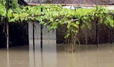 কুড়িগ্রাম ও টাঙ্গাইলে তিন লক্ষাধিক মানুষ পানিবন্দি