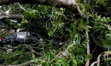 বেরিলের তাণ্ডবে বিদ্যুৎহীন ২৭ লাখ লোক