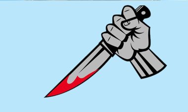 ছিনতাইকারীর ছুরিকাঘাতে প্রাণ হারালেন অটো চালক