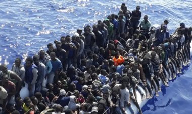 সাগরপথে ইউরোপ যাওয়ার পথে ৭ অভিবাসীর মৃত্যু