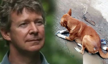 কুকুরদের ওপর পাশবিক অত্যাচার, বৃটিশ প্রাণিবিদকে ২৪৯ বছরের জেল