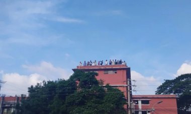 ঢাবির তিন হলে নেই ছাত্রলীগ