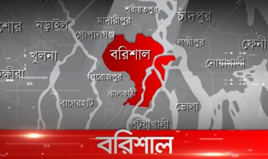 বরিশালে ভাতিজার হাতে চাচা খুন