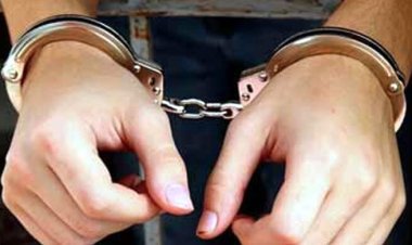  নাশকতার মামলায় র‌্যাবের অভিযানে গ্রেফতার ২২৮