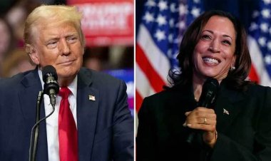  কমলাকে ‘উগ্র বামপন্থি উন্মাদ’ বললেন ট্রাম্প