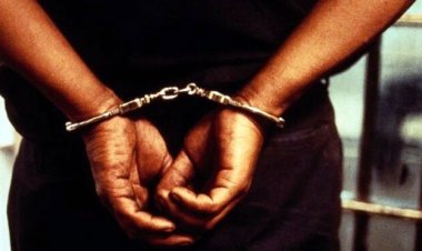  ২৪ ঘণ্টায় নতুন ১৪ মামলা, ঢাকায় মোট গ্রেফতার ২৮২২