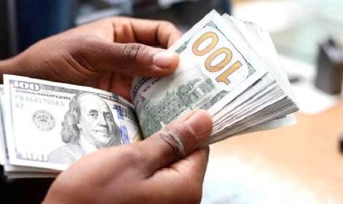  হঠাৎ বেড়েছে ডলারের দাম