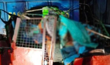 কালীগঞ্জে সিএনজি-ট্রাক মুখোমুখি সংঘর্ষ, নিহত যাত্রী