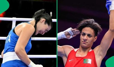 'নারী' বক্সারদের প্রতিযোগিতায় ‘পুরুষ’ প্রতিযোগী! বিতর্কে উত্তাল প্যারিস অলিম্পিক