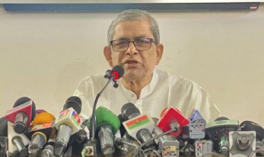 গণহত্যা-নির্যাতনের জন্য ক্ষমা চেয়ে অবিলম্বে পদত্যাগ করুন: মির্জা ফখরুল