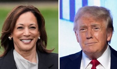 কমলার সঙ্গে বিতর্ক করবেন ট্রাম্প, জানা গেল তারিখ