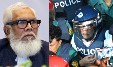 সালমানের পাচার করা অর্থ উদ্ধারের উদ্যোগ