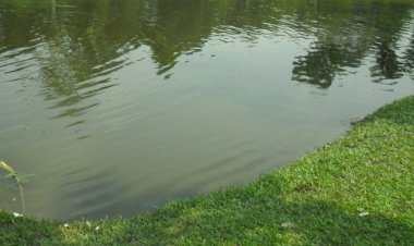 খেলার সময় পুকুরে পড়ে প্রাণ গেলো দুই ভাইয়ের