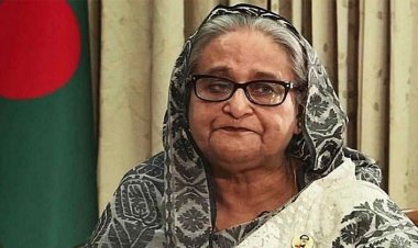 পোশাক শ্রমিক হত্যা, শেখ হাসিনার বিরুদ্ধে মামলার আবেদন