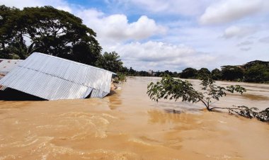 ধীরগতিতে উন্নতি হচ্ছে বন্যা পরিস্থিতির