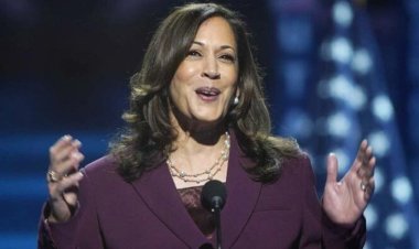 আনুষ্ঠানিকভাবে প্রেসিডেন্ট প্রার্থী হিসেবে মনোনয়ন পেলেন কমালা হ্যারিস