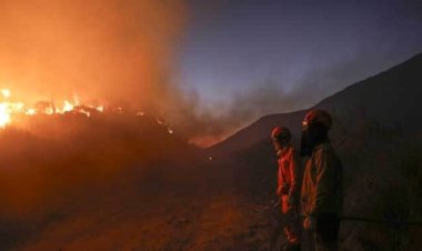  ব্রাজিলের সাও পাওলোতে ছড়িয়ে পড়েছে দাবানল