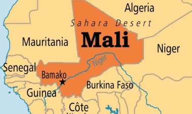 মালিতে ড্রোন হামলায় ১৫ বেসামরিক নাগরিক নিহত